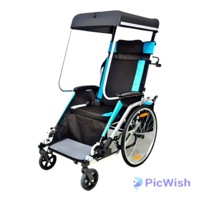 PEDICRUISER - 2 in 1 Bike Trailer + Mobilty Cruiser